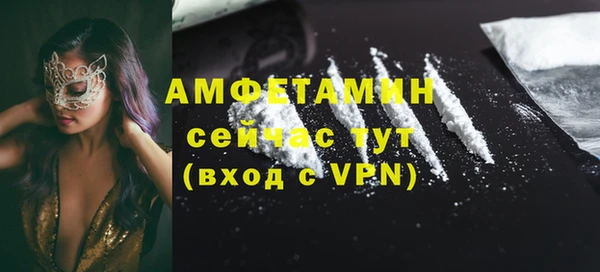 гидра Верея