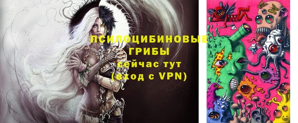 гидра Верея