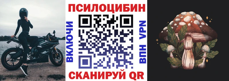 Псилоцибиновые грибы GOLDEN TEACHER  Ишимбай 